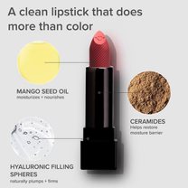 Daily Life Forever52 I'm Unlimited Lipstick, 3.5g